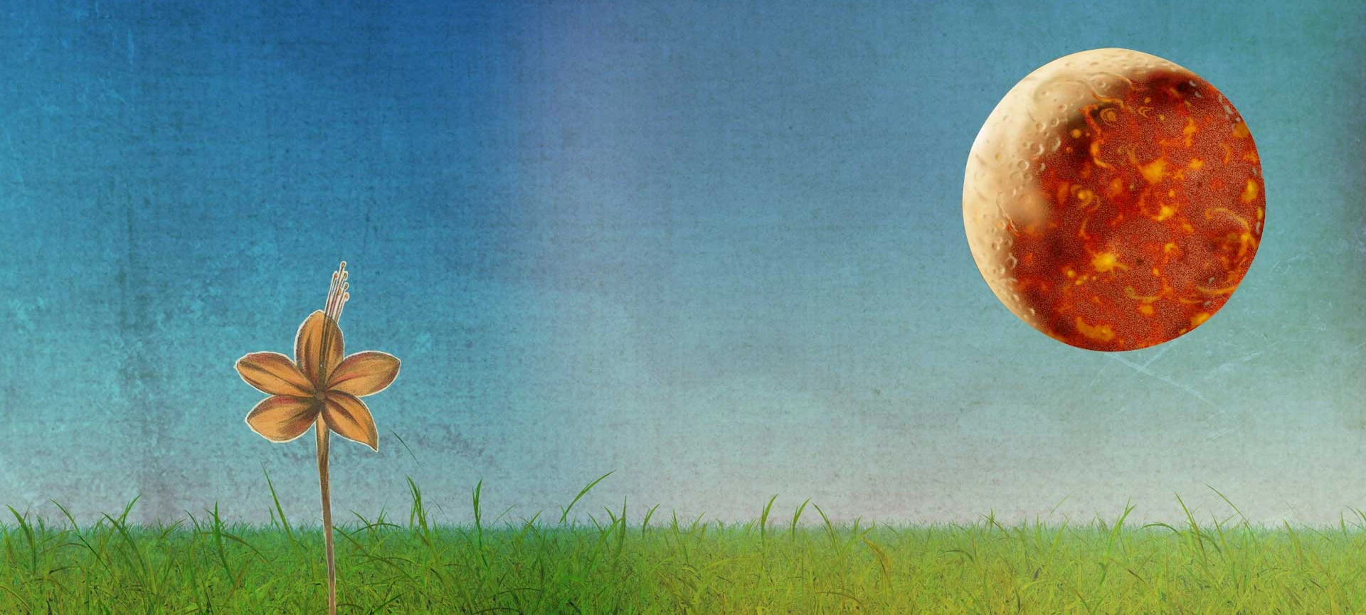 Collage einer Wildblume im Gras unter einem großen, gesprenkelten orangefarbenen Planeten